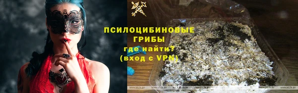 прущие грибы Абаза