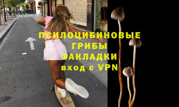 прущие грибы Абаза
