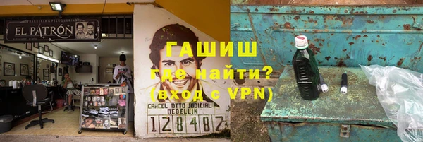 прущие грибы Абаза